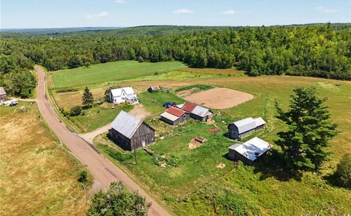 Farm Ranch in Hoyt, New Brunswick, Canada 1