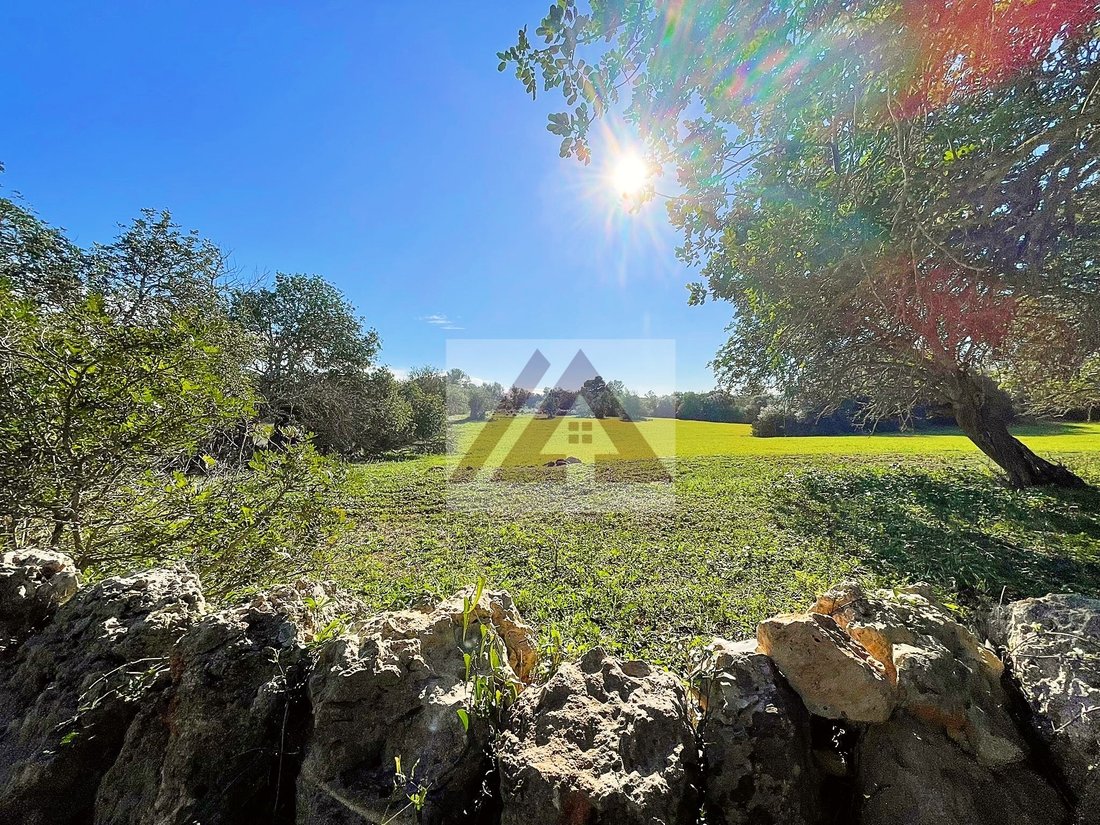 Land in Felanitx, Balearic Islands, Spain 2 - 17530720