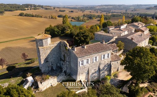 Château à Larroque-Engalin, Occitanie, France 1