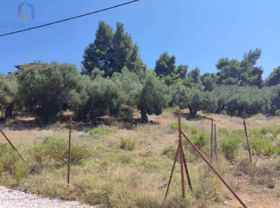 Land in Pallini Municipal Unit, Macedonia and Thrace, Greece 3 - 18590138