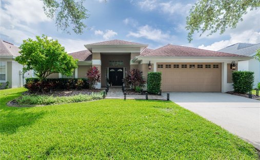House in Tampa, Florida, United States 1