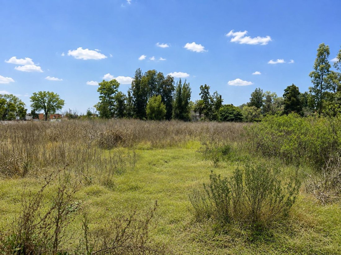 Land in Benavidez, Buenos Aires Province, Argentina 1 - 18590803