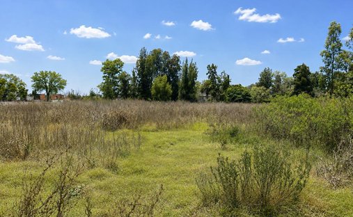Land in Benavidez, Buenos Aires Province, Argentina 1