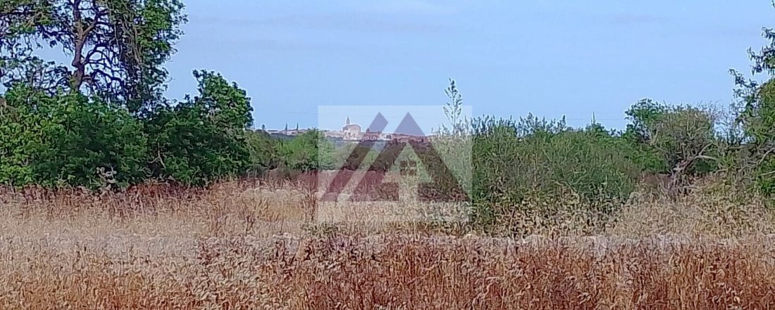 Land in es Llombards, Santanyi, Balearic Islands 3 - 18154420