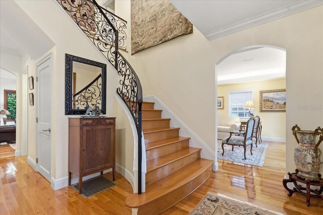 House in Tampa, Florida, United States 4 - 18591822