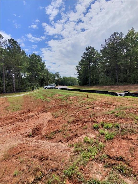 House in Williamson, Georgia, United States 3 - 18499573