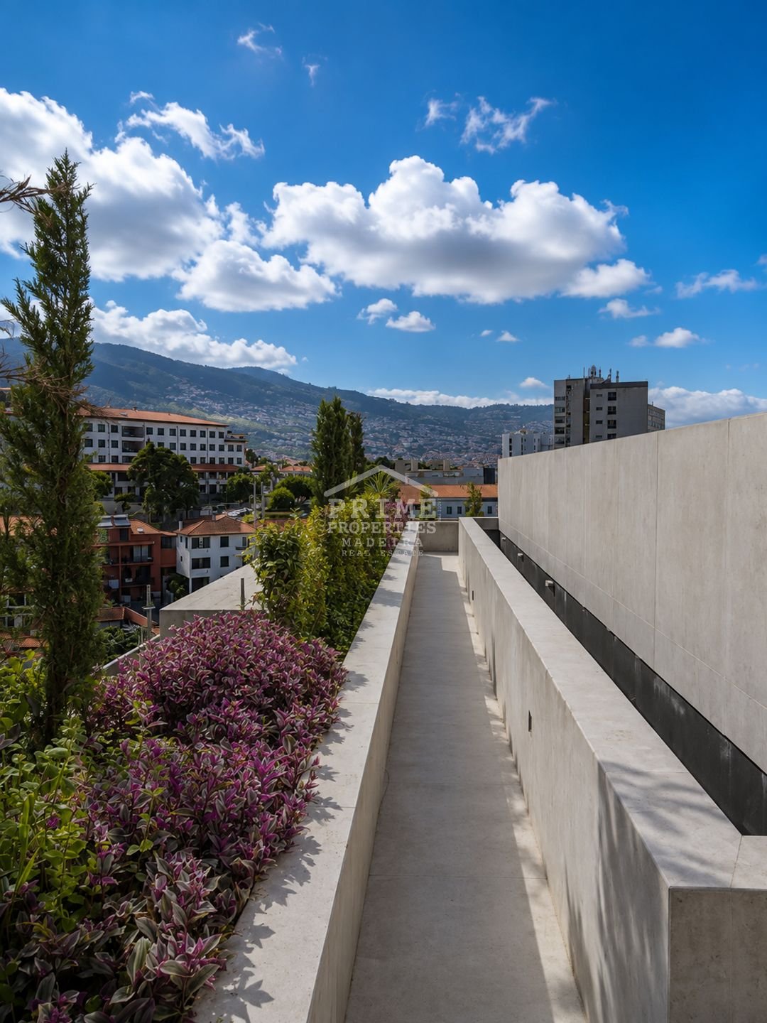 Apartment in Sao Martinho, Madeira, Portugal 4 - 17617474