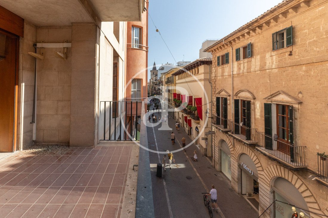 Apartment in Palma, Balearic Islands, Spain 2 - 18594439