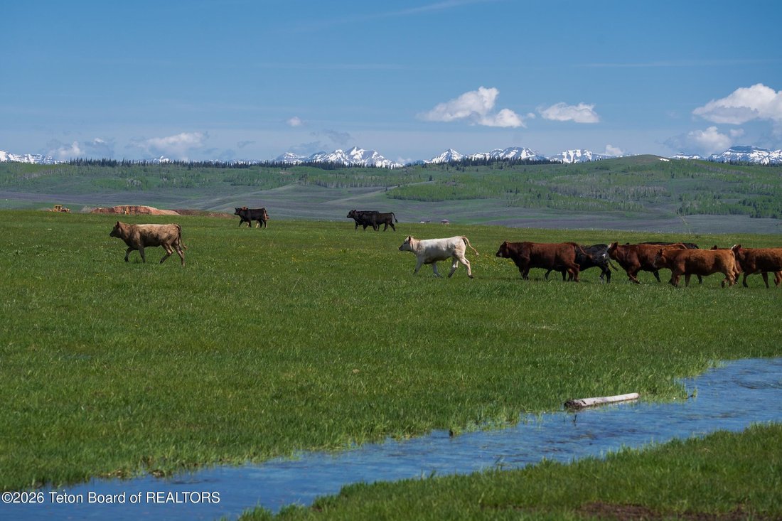 Farm Ranch in Daniel, Wyoming, Vereinigte Staaten 4 - 18594307