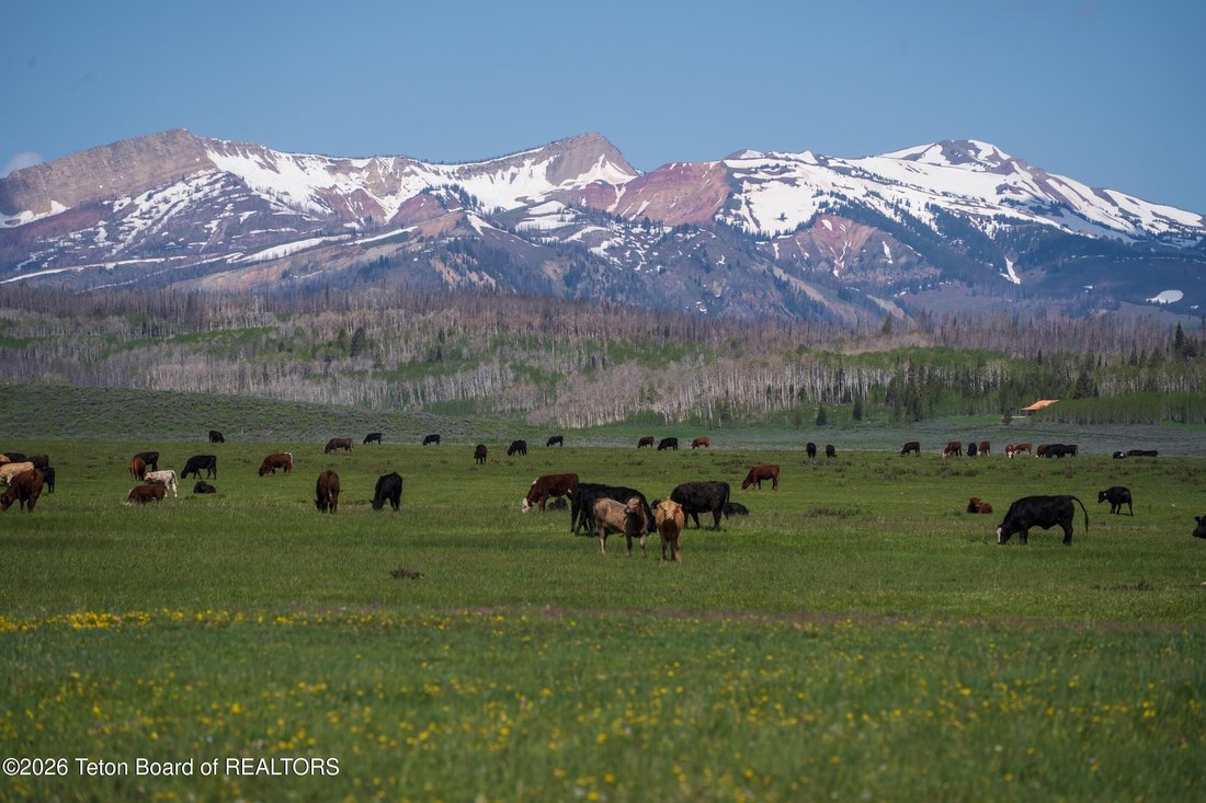 Farm Ranch in Daniel, Wyoming, Vereinigte Staaten 5 - 18594307
