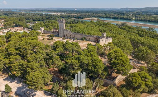 Villa in Les Cariatides, Beaucaire, France 1