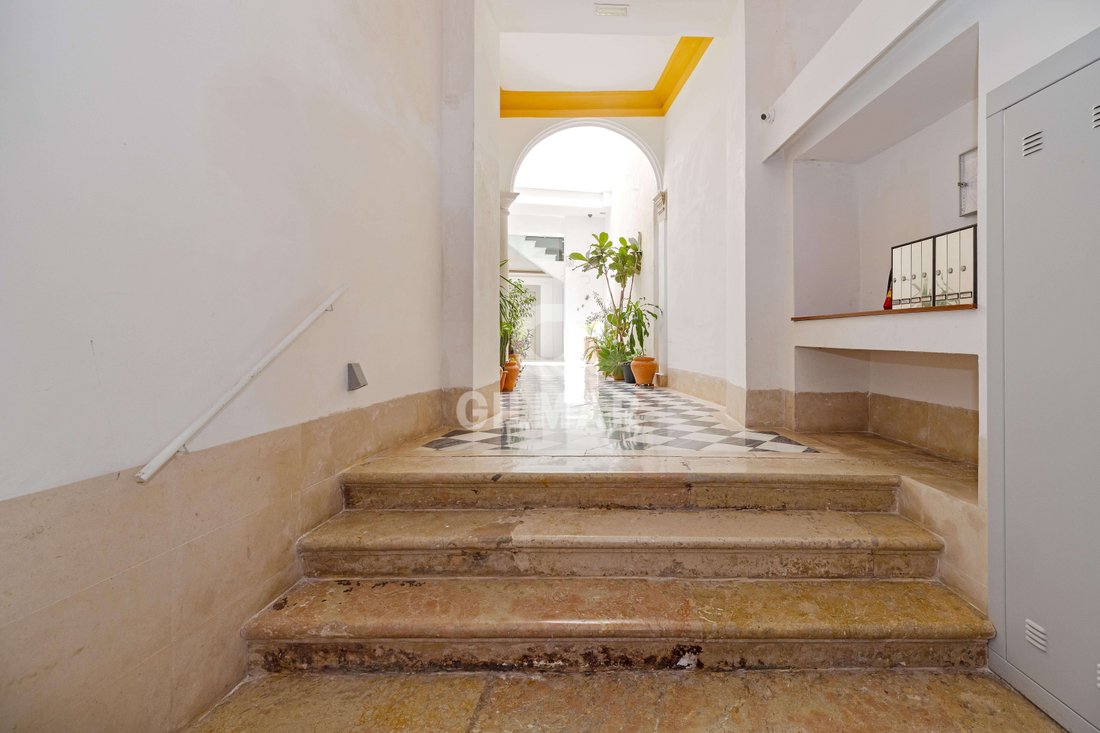 Wohnung in Centro, Malaga, Spanien 3 - 18594942
