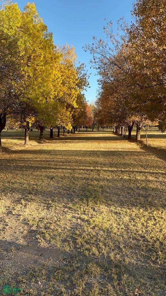 Terrain en Las Compuertas, Mendoza, Argentine 1 - 18494534
