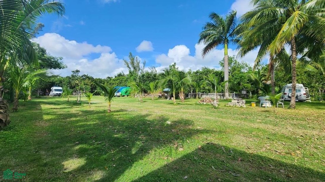 Land in Alfredo V. Bonfil, Quintana Roo, Mexico 5 - 17810949