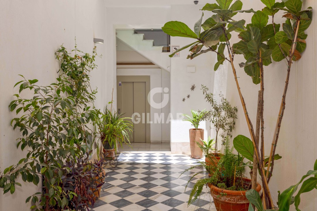 Apartment in Centro, Malaga, Spain 5 - 18594168