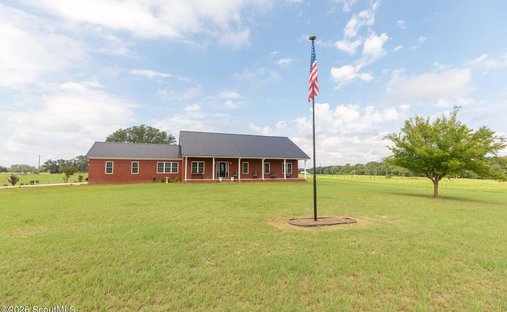 House in Reidsville, Georgia, United States 1