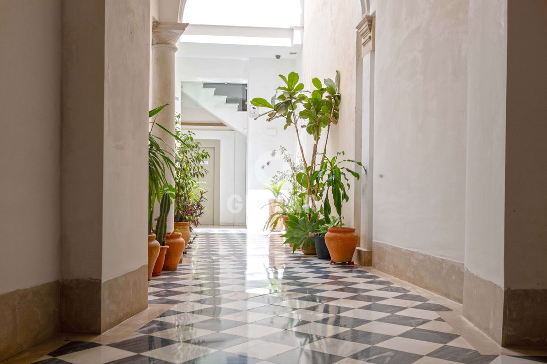 Apartment in Centro, Malaga, Spain 2 - 18594168
