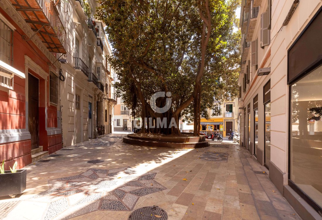 Apartment in Centro, Malaga, Spain 1 - 18594168