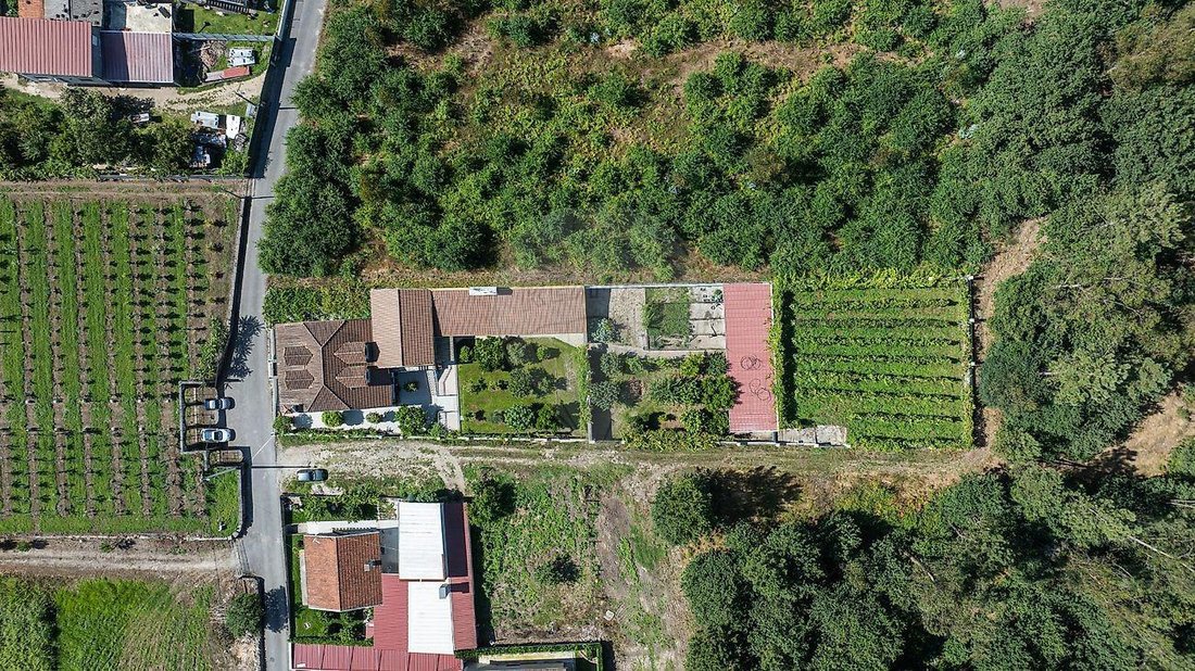 Villa in Ferreiros, Prozelo e Besteiros, Braga, Portugal 2 - 18595099