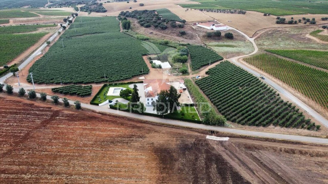 Farm Ranch in Pedrogao, Beja District, Portugal 2 - 18434653