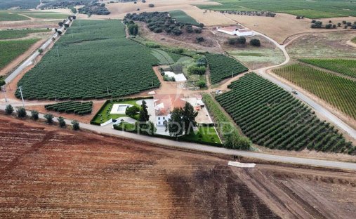 Farm Ranch in Pedrógão, Beja, Portugal 1