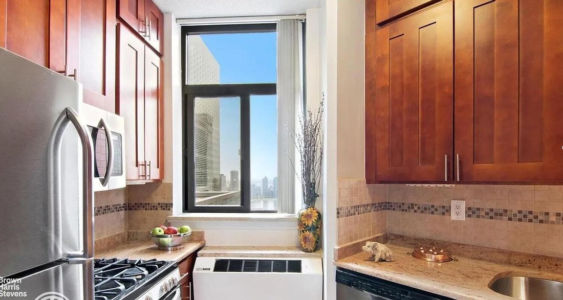 Condo in New York, New York, United States 5 - 16747405