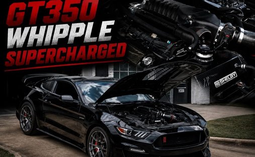 2018 Ford Mustang Shelby GT350 Coupe 2D in Birmingham, AL, United States 1