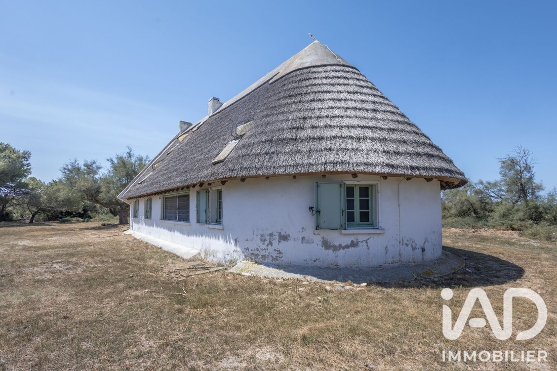 House in Saintes-Maries-de-la-Mer, Provence-Alpes-Côte d'Azur, France 2 - 18596449