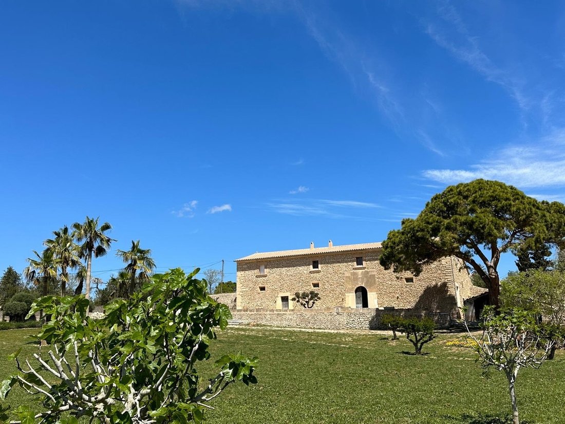 Maisons de campagne à Algaida, Îles Baléares, Espagne 3 - 18595853