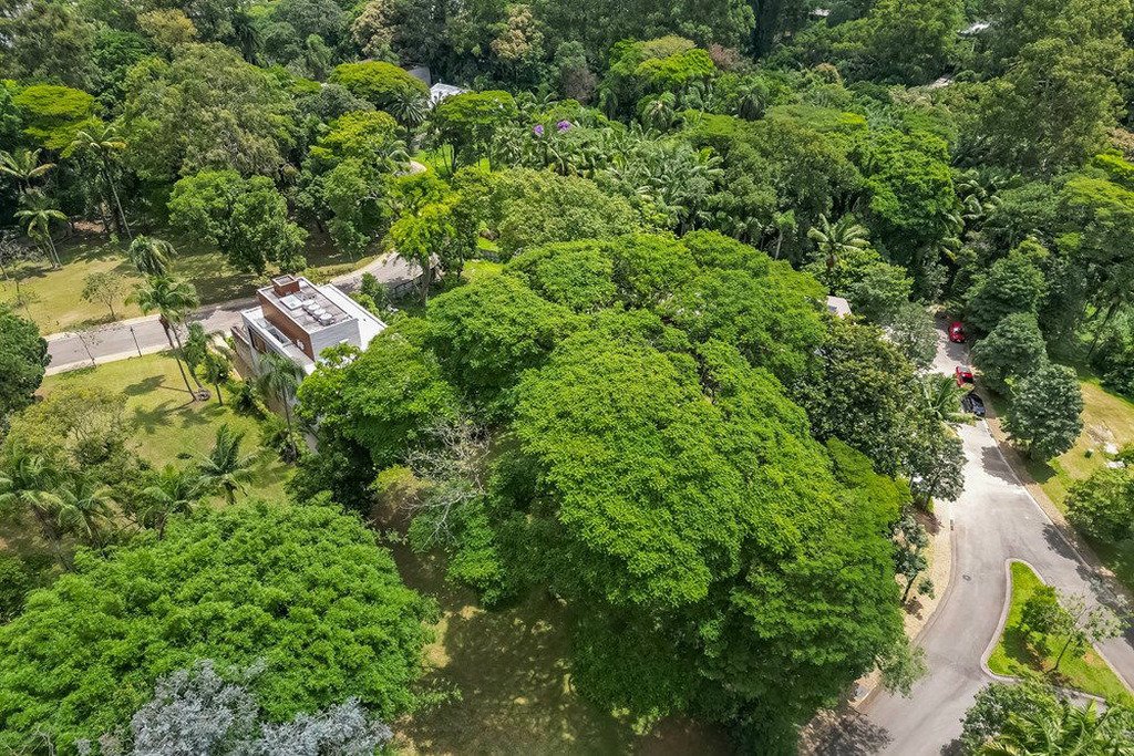 Land in São Paulo, State of São Paulo, Brazil 5 - 18596211