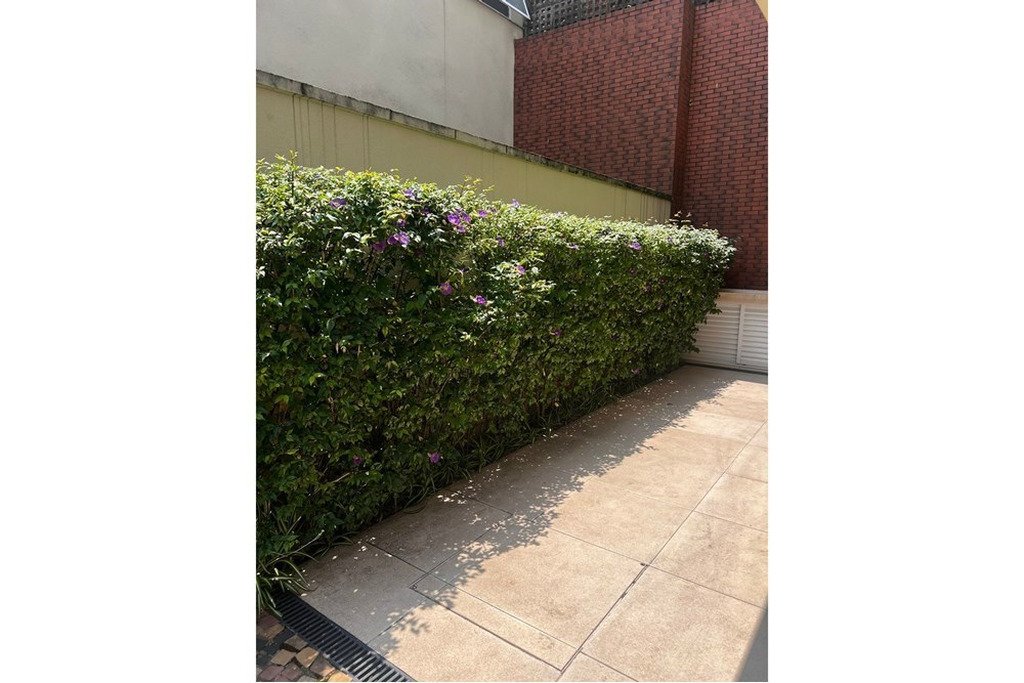 House in São Paulo, State of São Paulo, Brazil 3 - 18598504