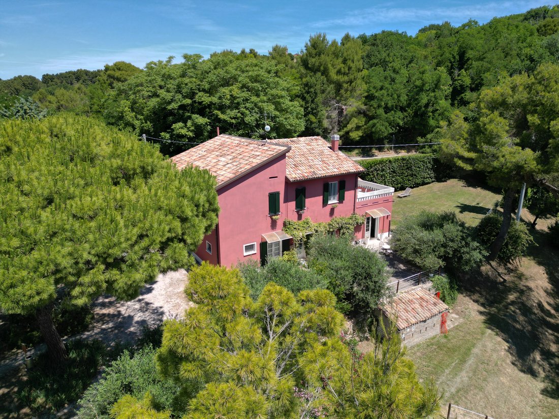 Estate in San Bartolo, Pesaro, Marche 5 - 18359945