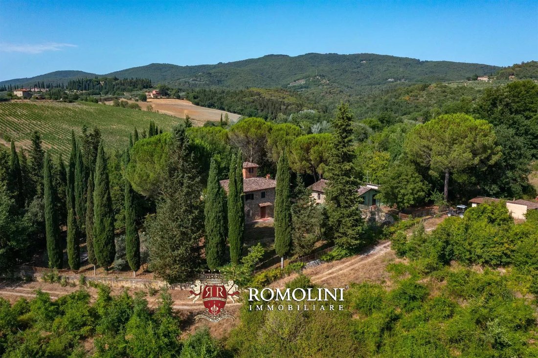 Estate in Center, Greve in Chianti, Tuscany 2 - 18598756