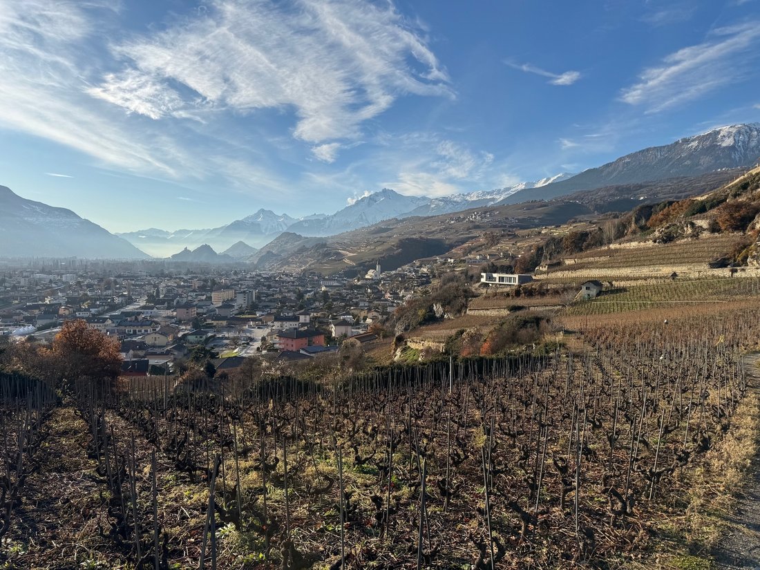 Land in Saint-Léonard, Valais, Switzerland 1 - 18599748