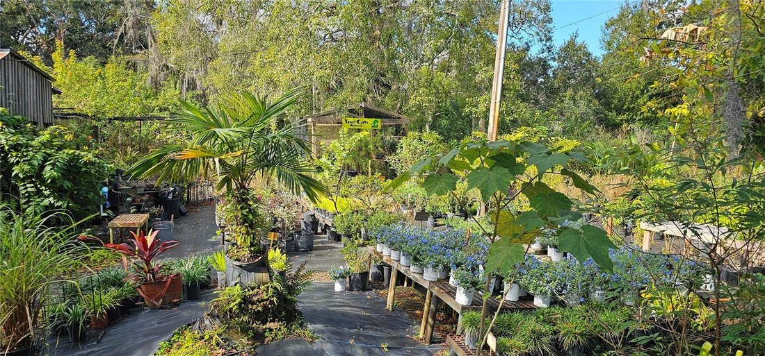 Terrain à Odessa, Florida, Floride, États-Unis 5 - 18600862