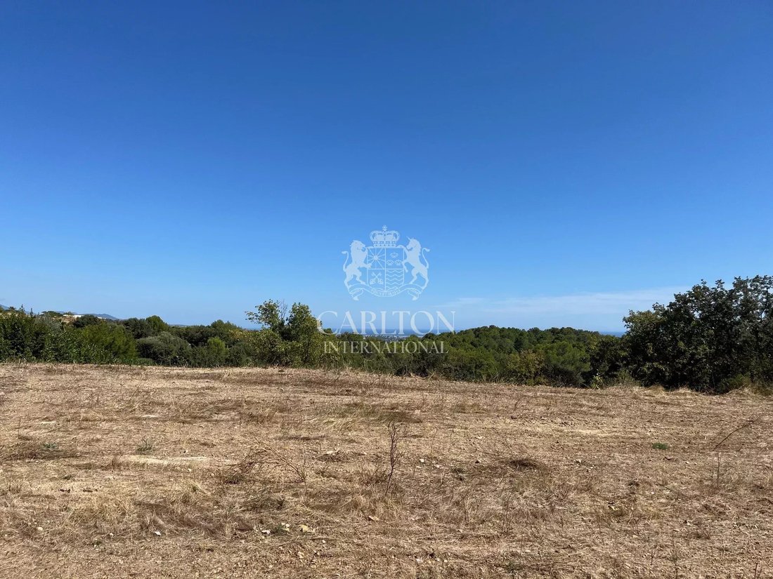 Land in Nord, Roquefort-les-Pins, France 1 - 18073385