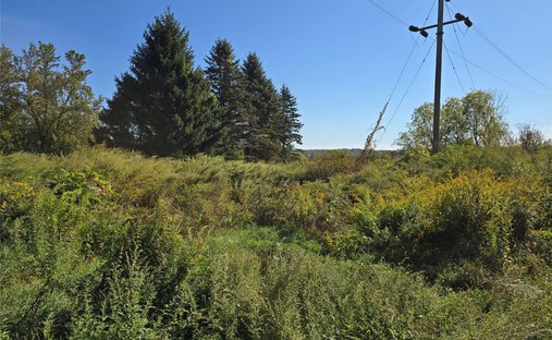 House in Bloomingburg, New York, United States 1