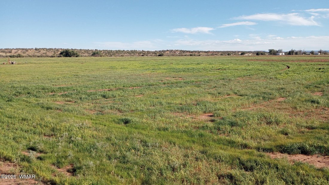 Farm Ranch in Snowflake, Arizona, United States 3 - 18449025