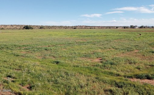 Corps de ferme à Snowflake, Arizona, États-Unis 1