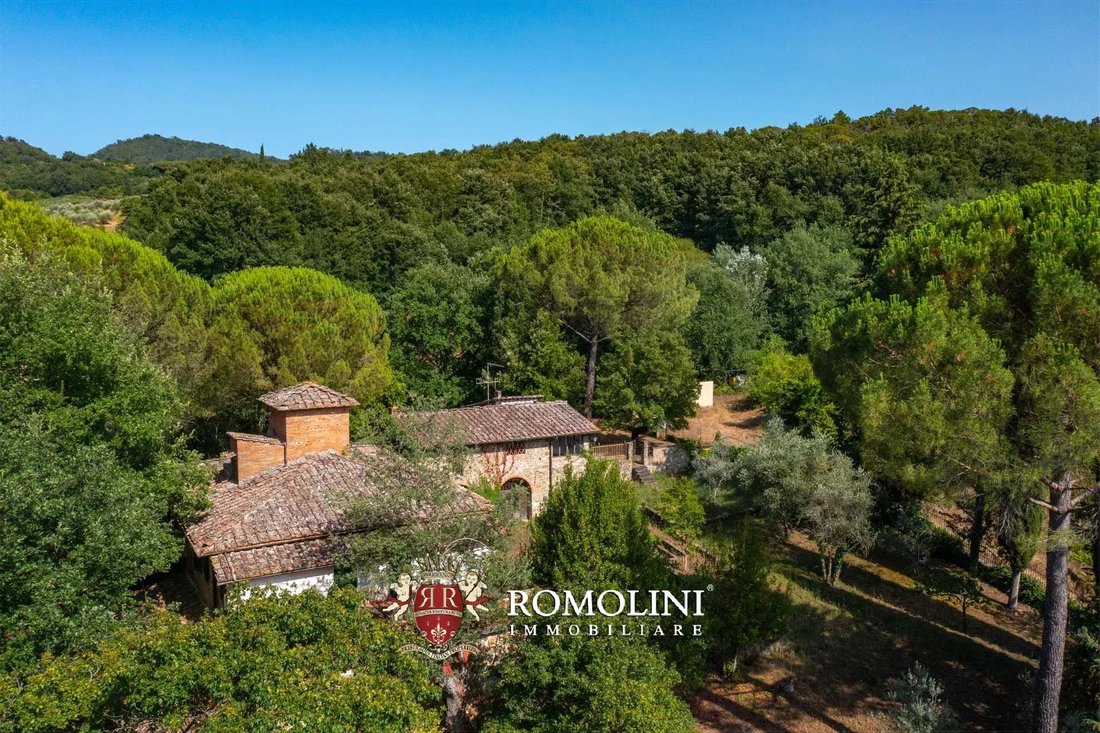 Estate in Center, Greve in Chianti, Tuscany 3 - 18598756