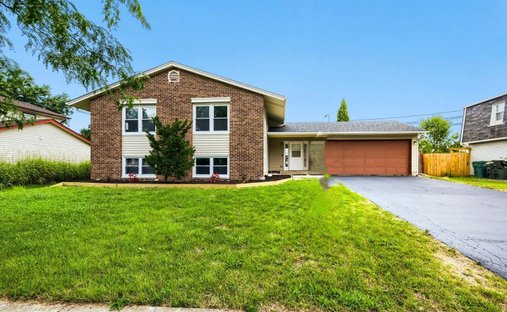 House in Elk Grove Village, Illinois, United States 1