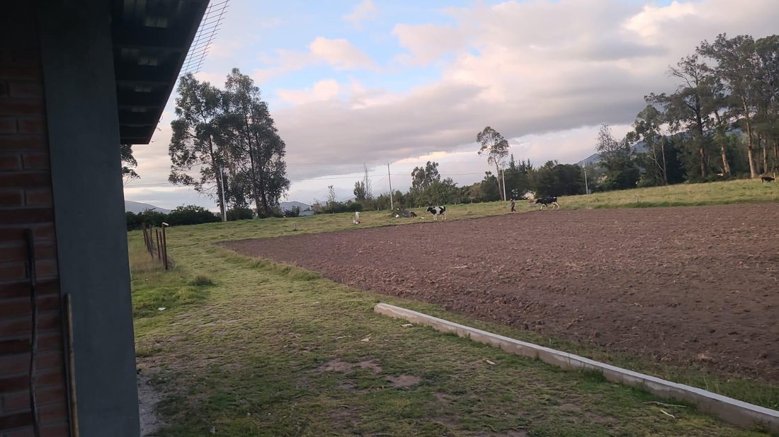 Land in Cayambe, Pichincha, Ecuador 5 - 18598829