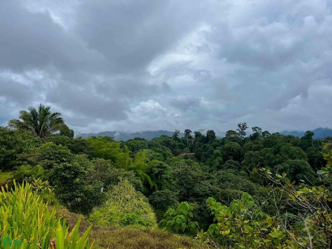 Land in Rancho Quemado, Puntarenas Province, Costa Rica 5 - 17804701