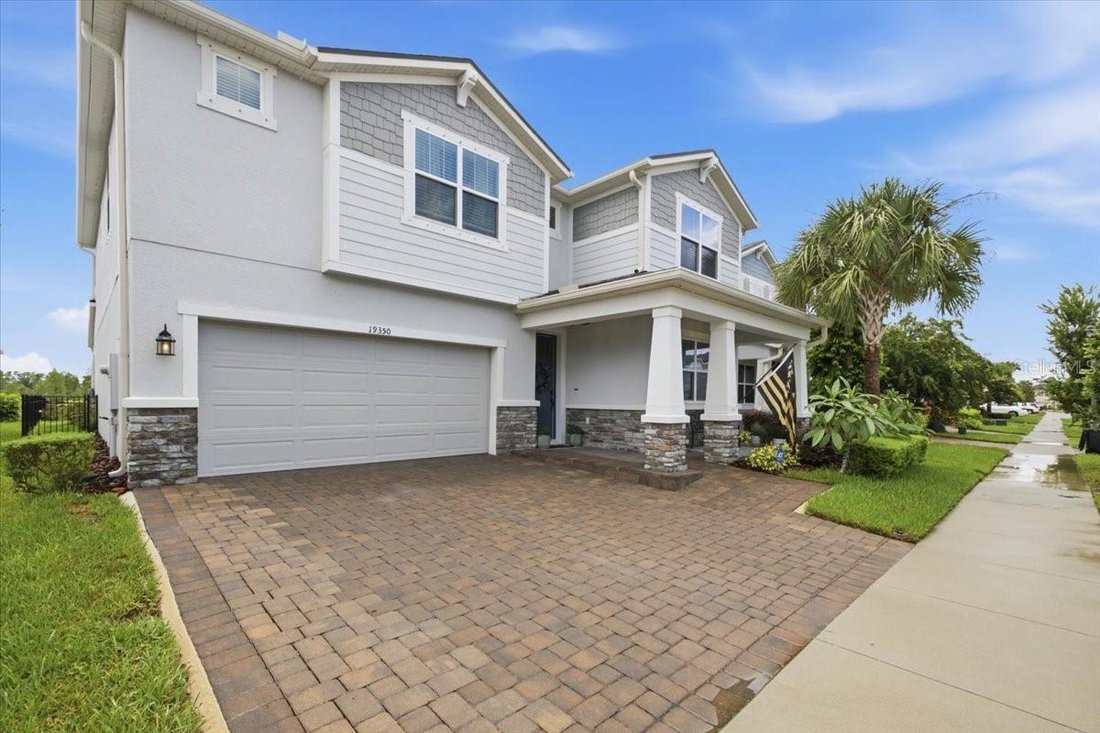 House in Land O' Lakes, Florida, United States 2 - 18601264