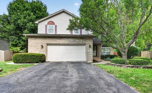 House in Romeoville, Illinois, United States 1