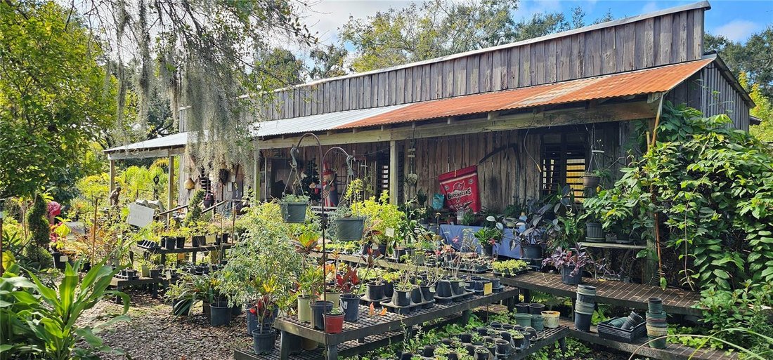 Terrain à Odessa, Florida, Floride, États-Unis 4 - 18600862