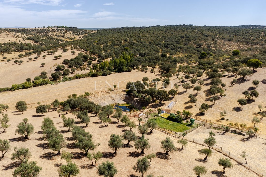 Estate in Sao Mancos e Sao Vicente do Pigeiro, Évora District, Portugal 2 - 18598570
