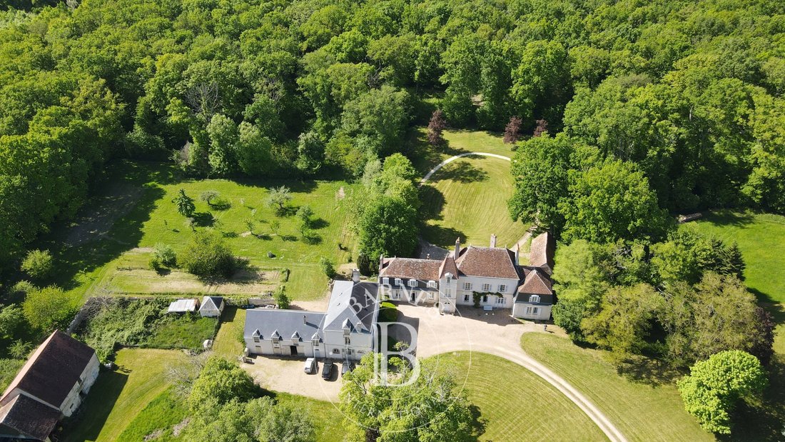 Castle in Vatan, Centre-Val de Loire, France 1 - 18598384