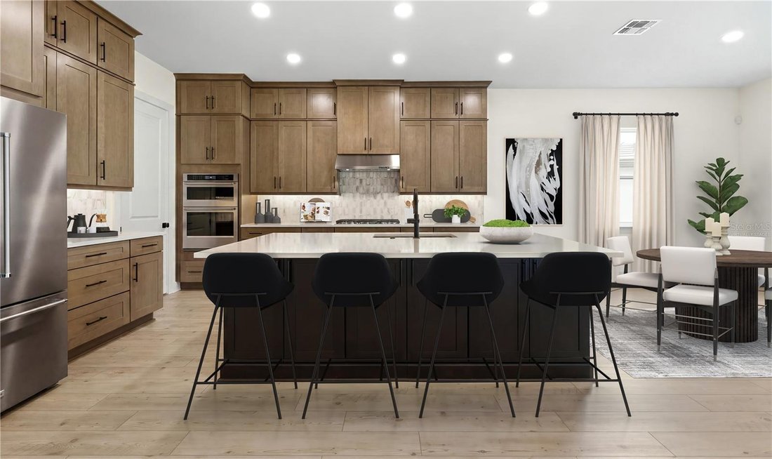 House in Clearwater, Florida, United States 3 - 17179235