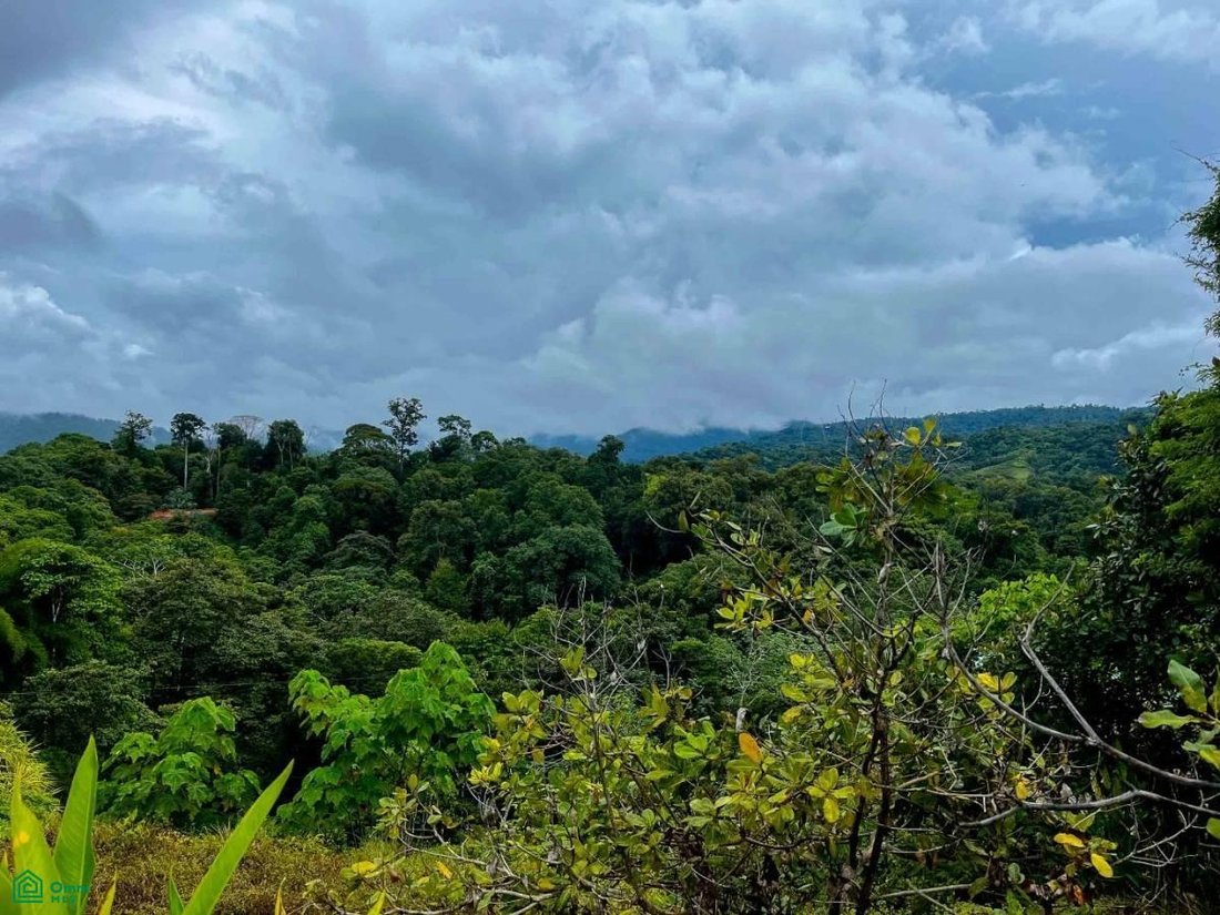 Land in Rancho Quemado, Puntarenas Province, Costa Rica 4 - 17804701